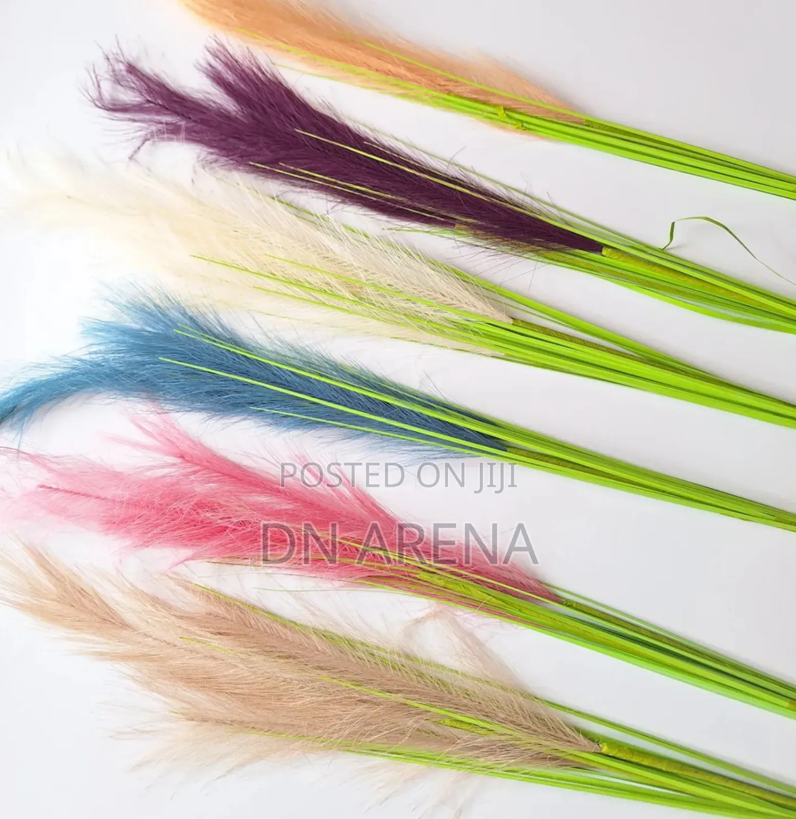 Colorful Pampas Grass in a Bottle 100cn