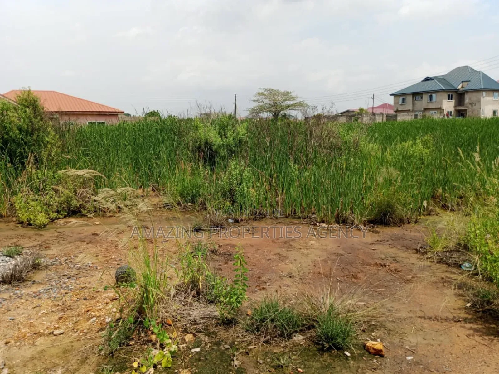 3 Plots of Land at Atomic Down