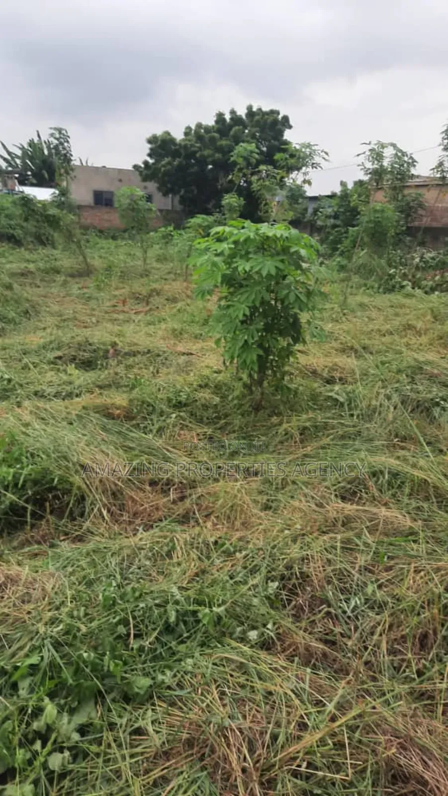 5000 Acres of Land at Asutuare