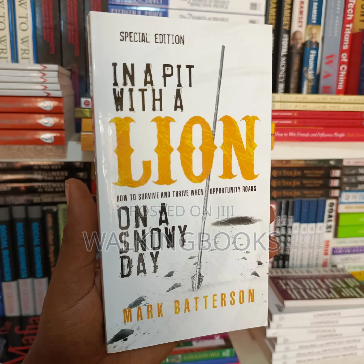 In a Pit With a Lion