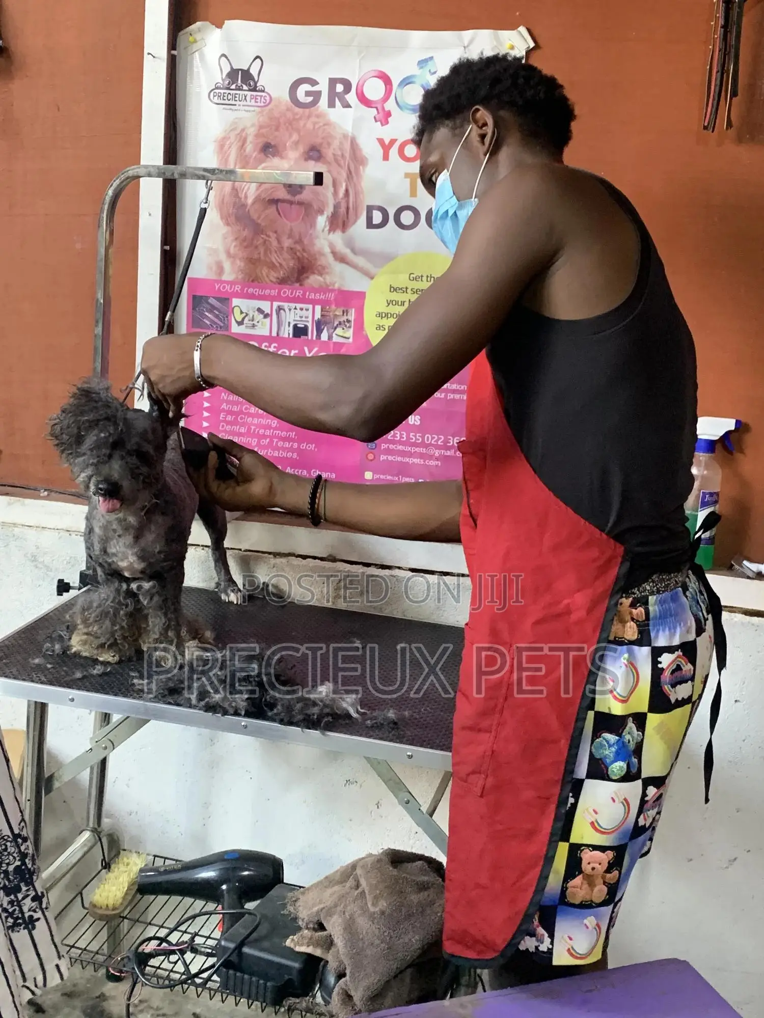 Dogs Caregiver Wanted