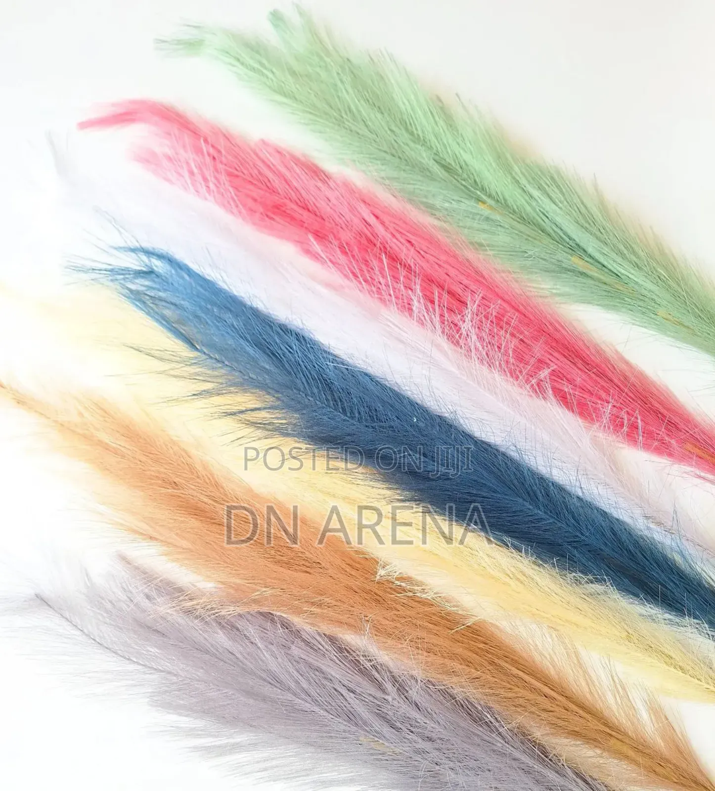 Dried Pampas Grass in 7 Colors 85gh a Stick/ Stem