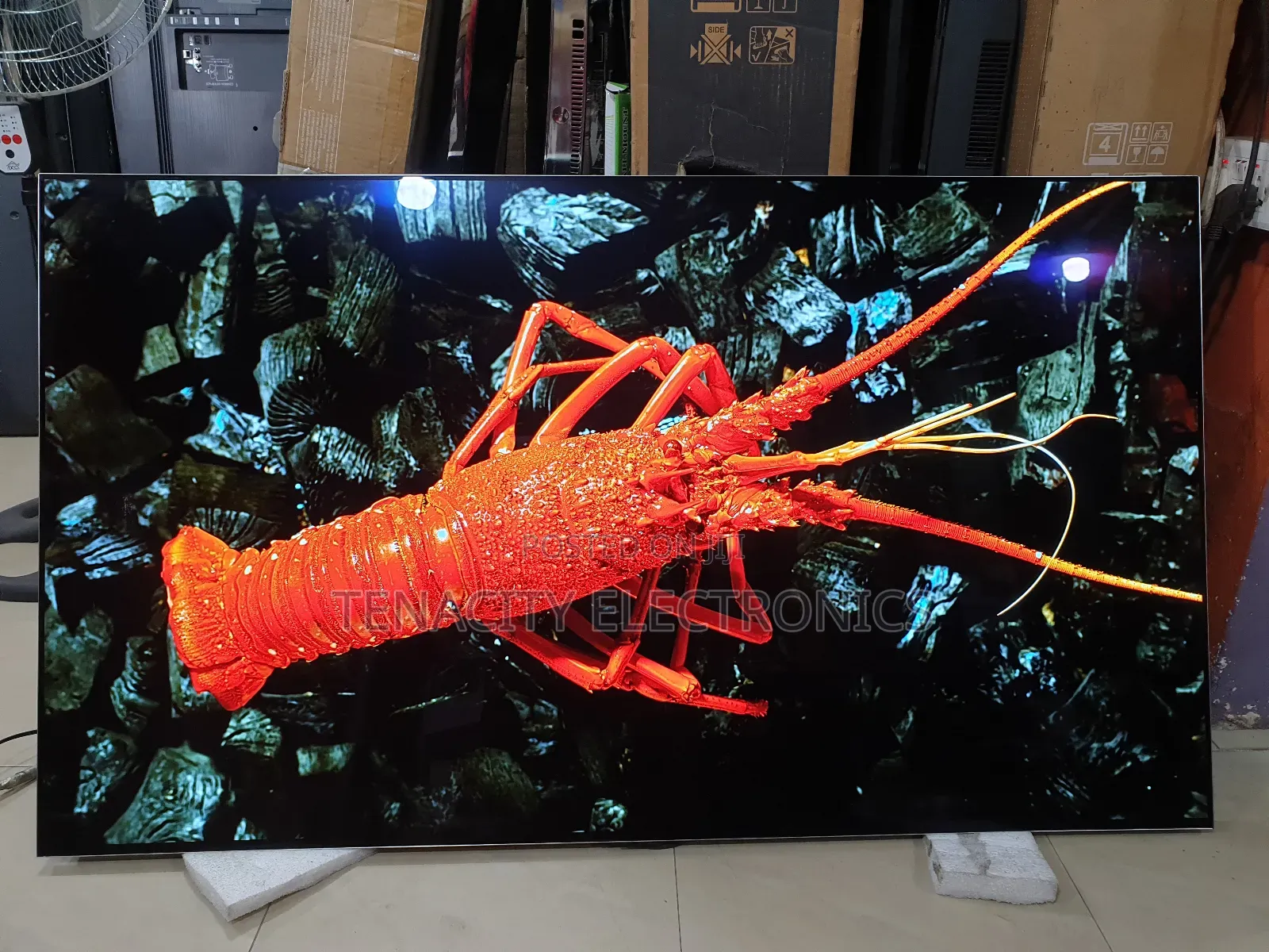 Oled G155"Lg Uhd HDR Smart Satellite Tv