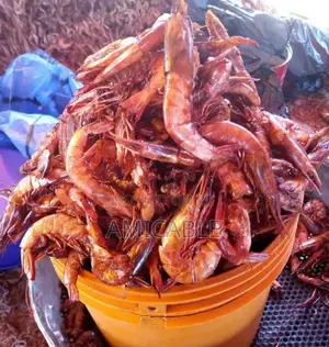 Tasty Oron Prawns (Oporo)