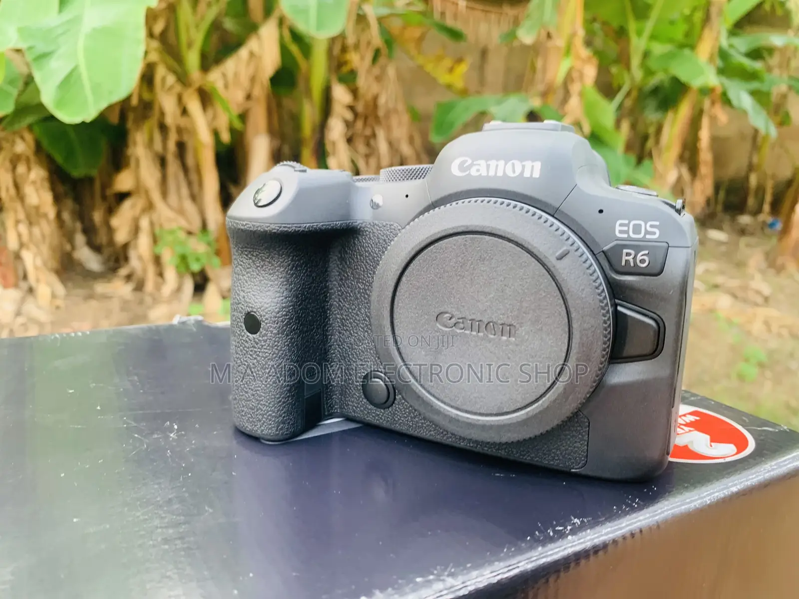 Mirrorless Canon R6 Camera With 24-105mm Lens