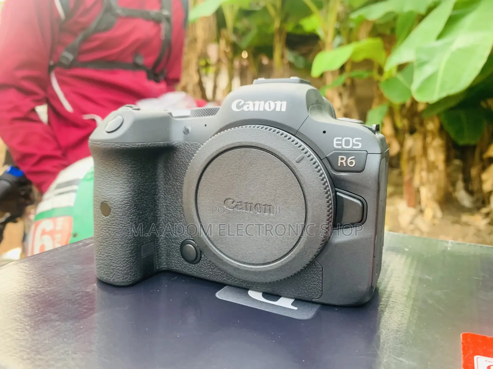 Canon R6 Camera With Lens