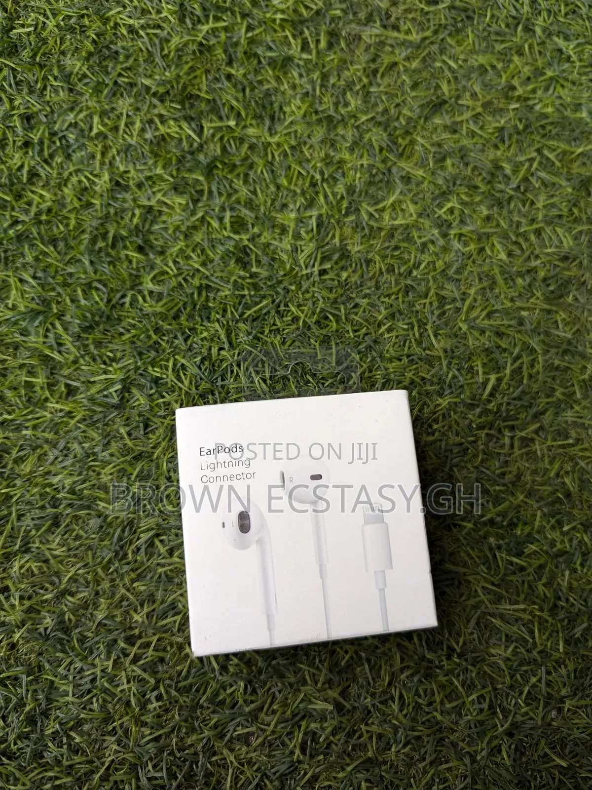 Apple Lightning Earpiece