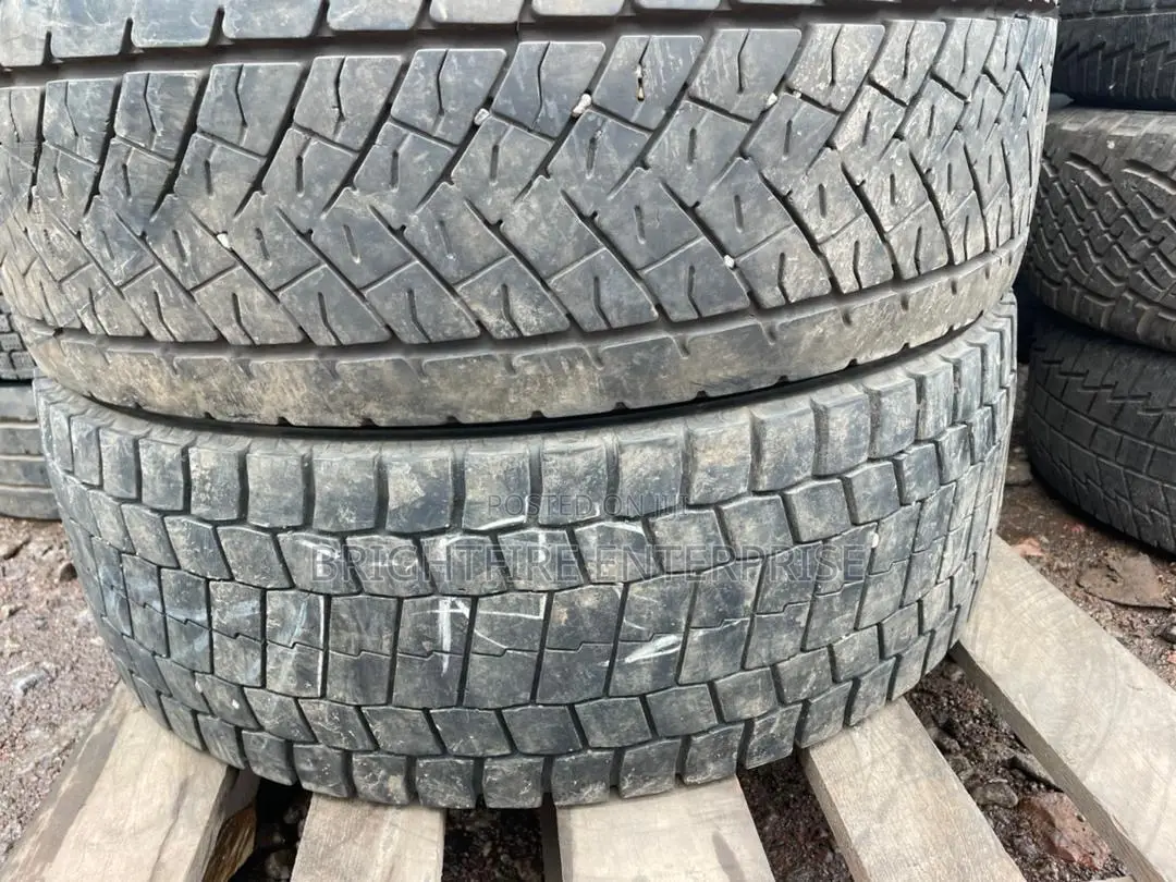 Homeused 285/70r19.5
