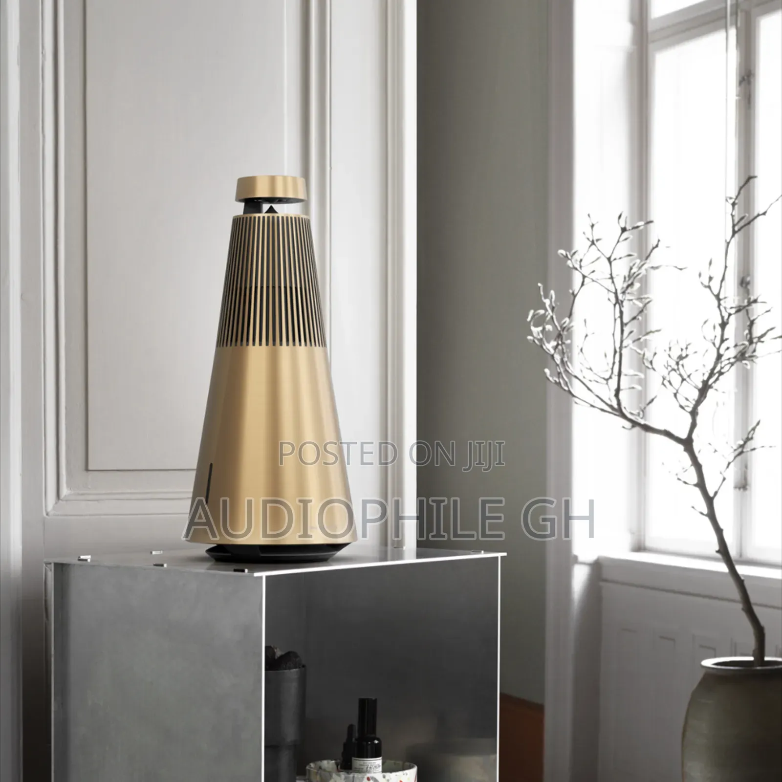 Bang Olufsen Beosound 2 Elegant Home Speaker