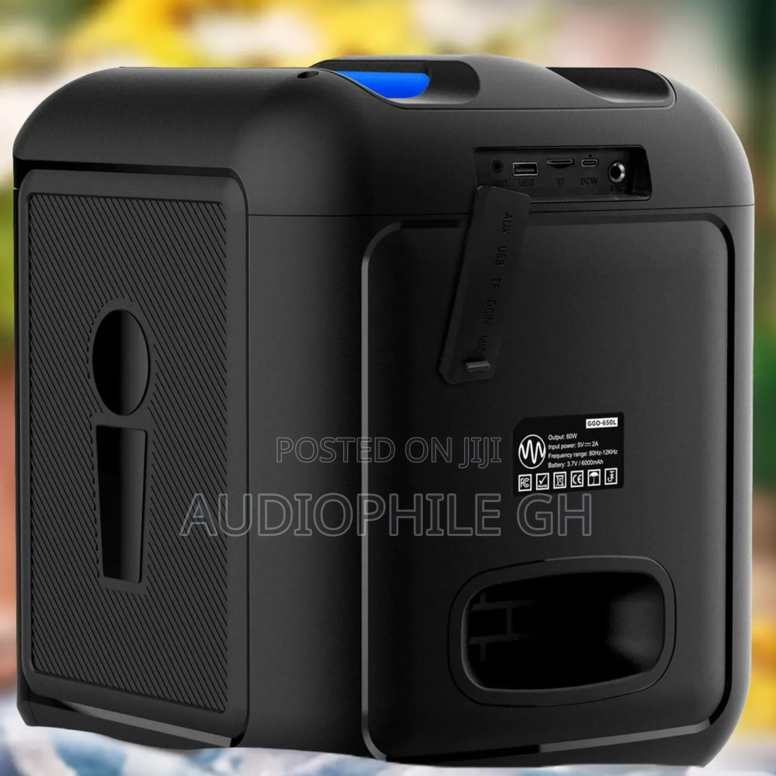 Gemini GGO-650L Portable Bluetooth Karaoke Speaker