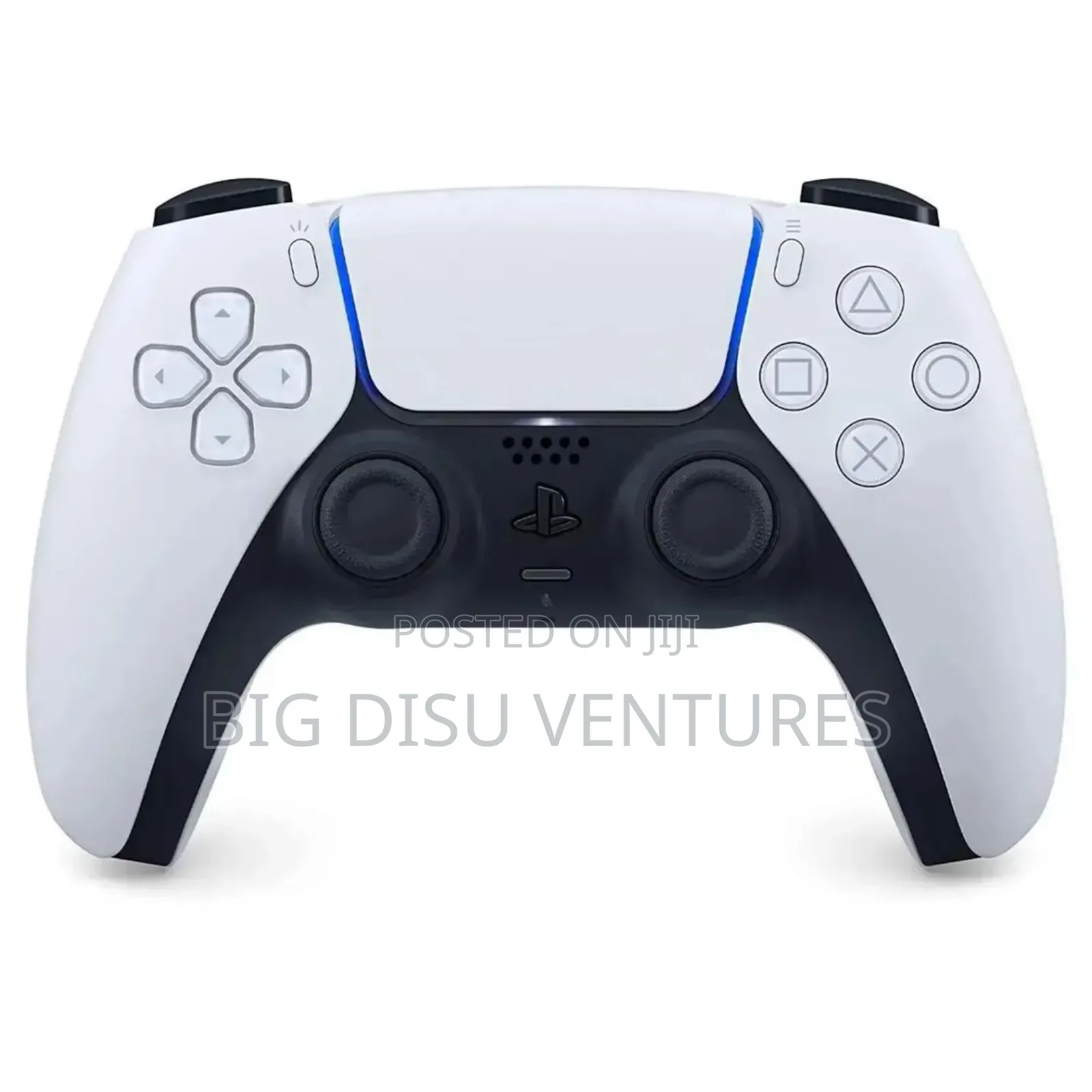 PS 5 Game Controller (Pad)