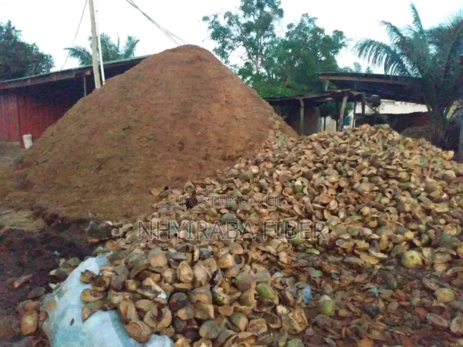 Cocopeat Medium/Media for Sale