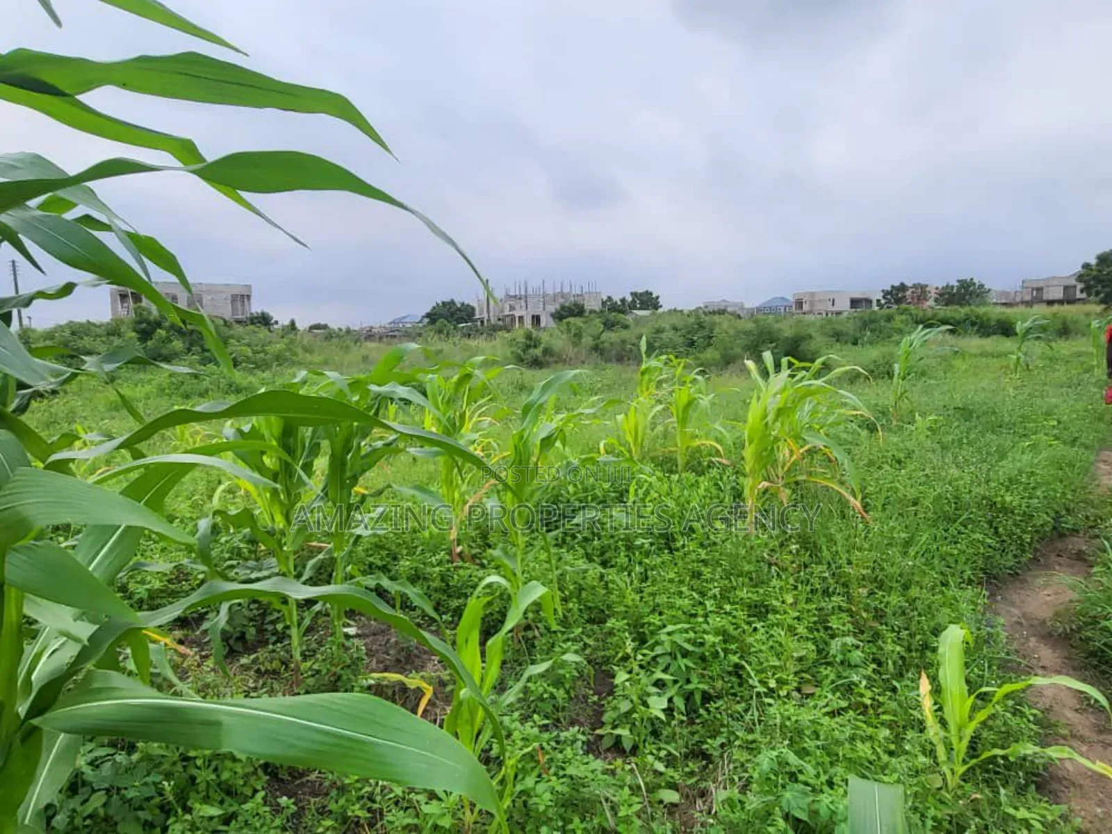 2 Plots of Land at West Trasacco