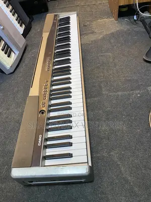 Casio Privia Px 100 Digital Piano