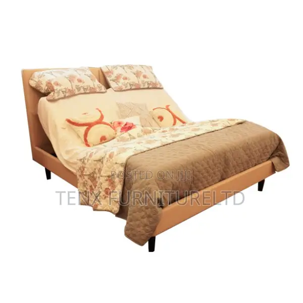 Electric Bed With Mattress and Pillow