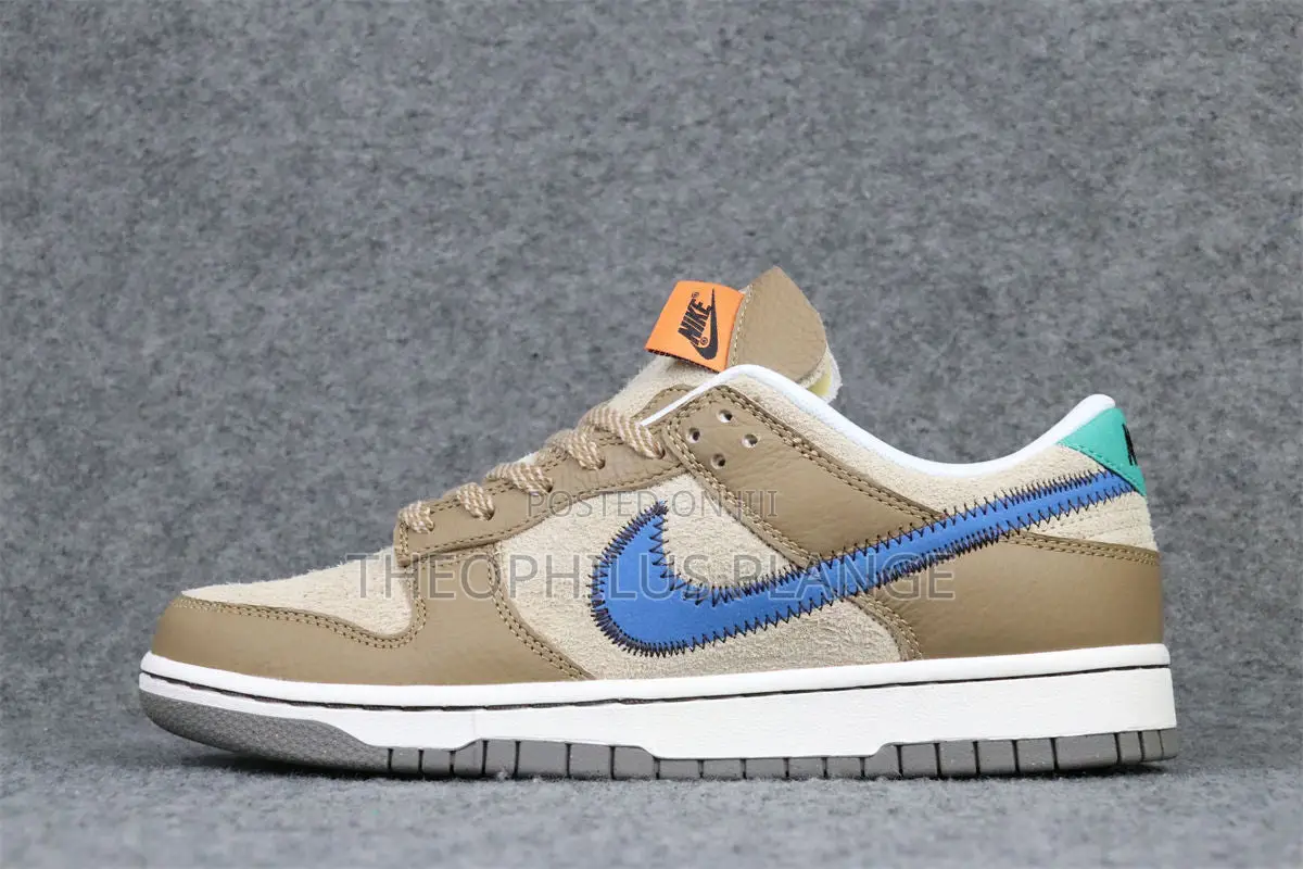 Nike Dunk Low Sneaker