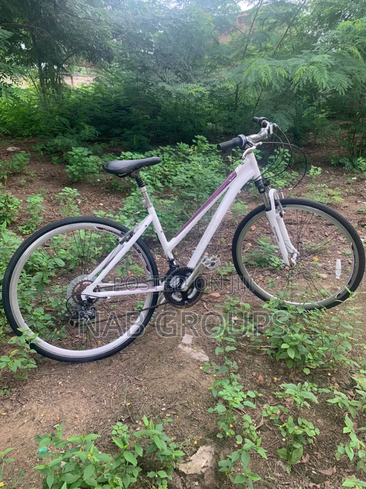 DBS Hybrid Bike