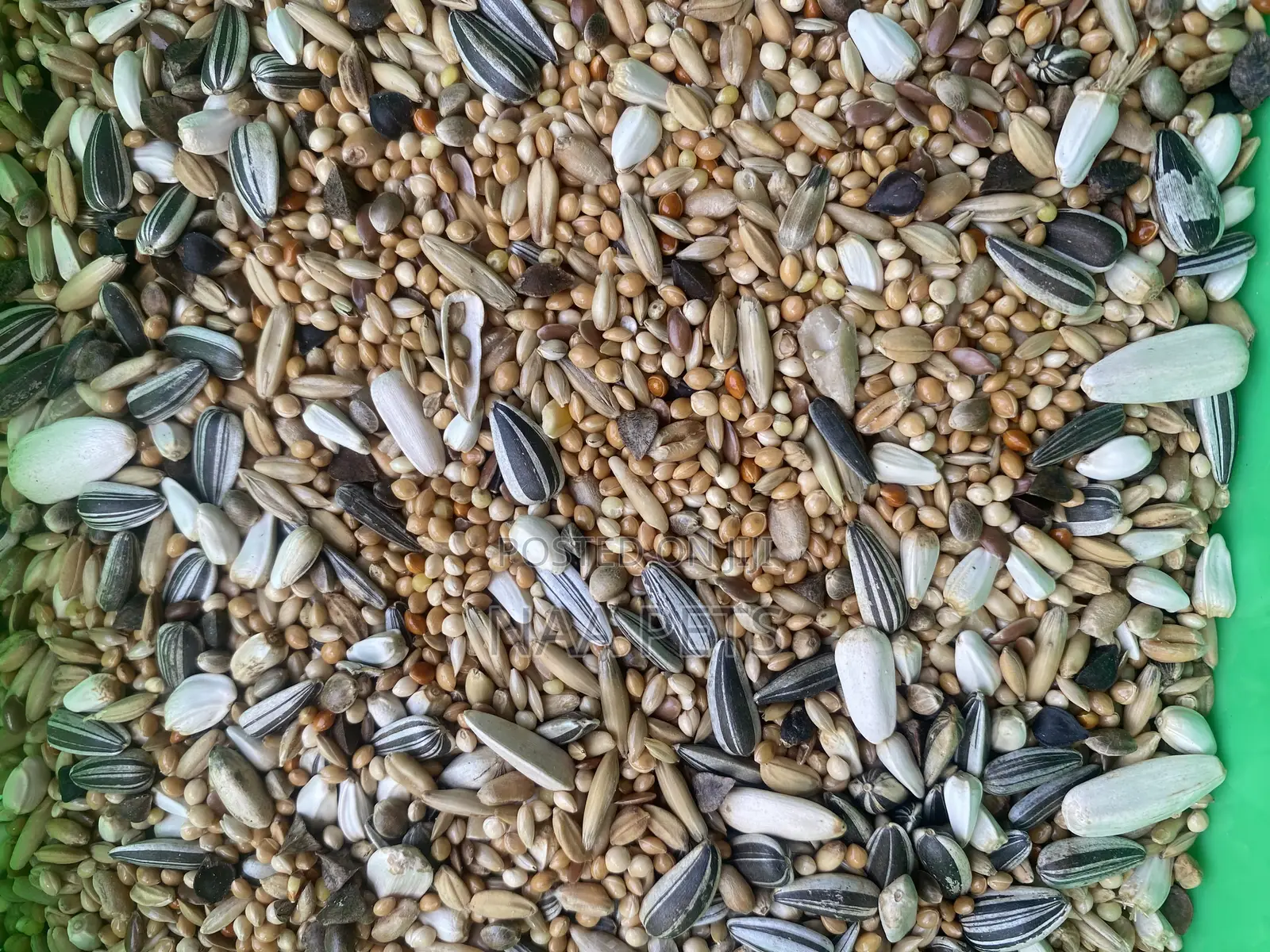 Cockatiel and Love Bird Feed