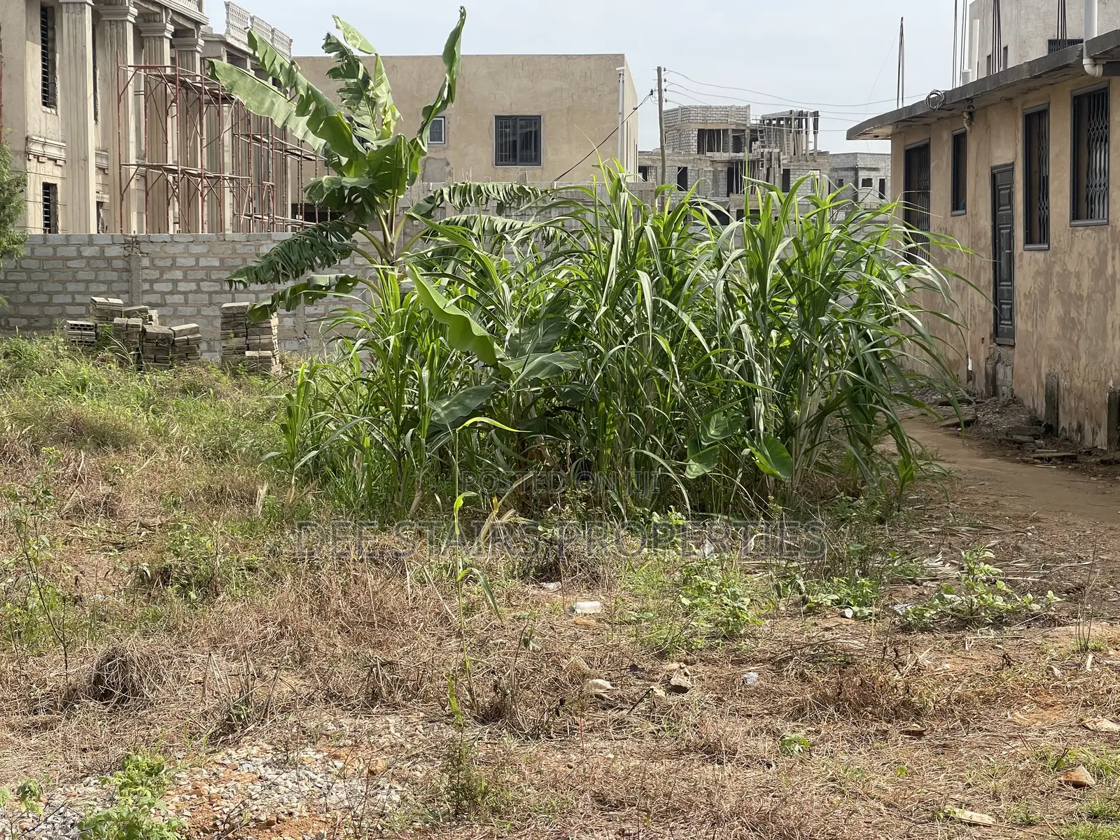 Half Plot of Land for Sale at East Airport Tse Addo