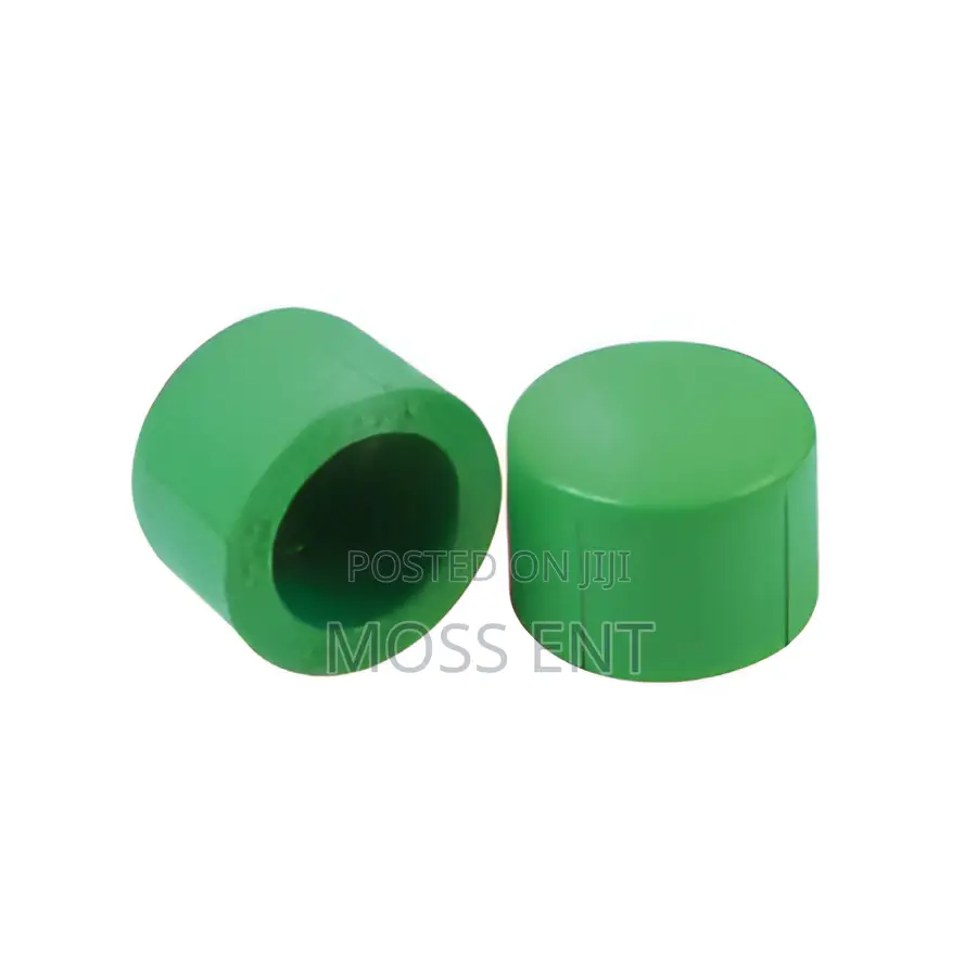 PPR End Cap - WVL3844