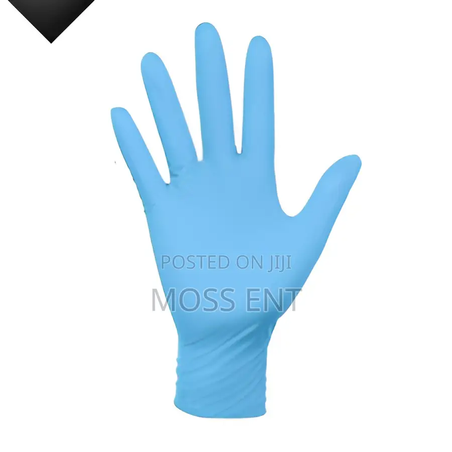 Disposable Nitrile Gloves L - Hgng02-l