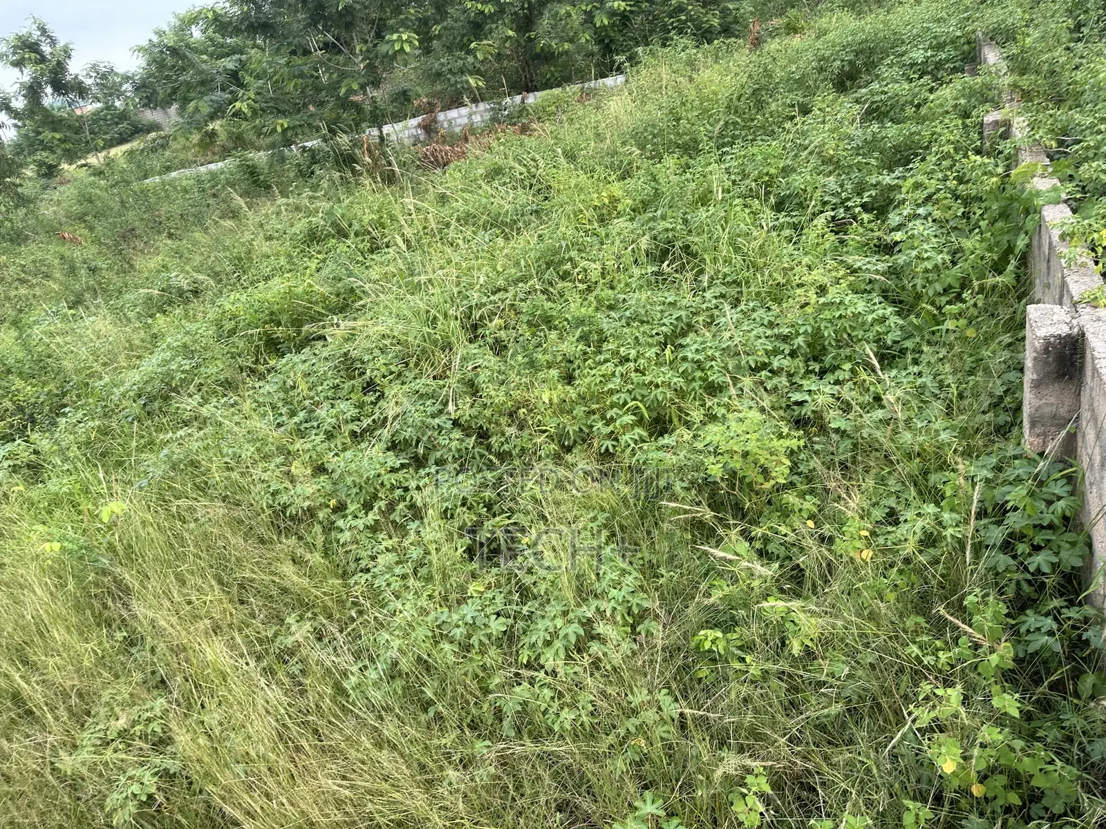 One Plot of Land at Dodowa