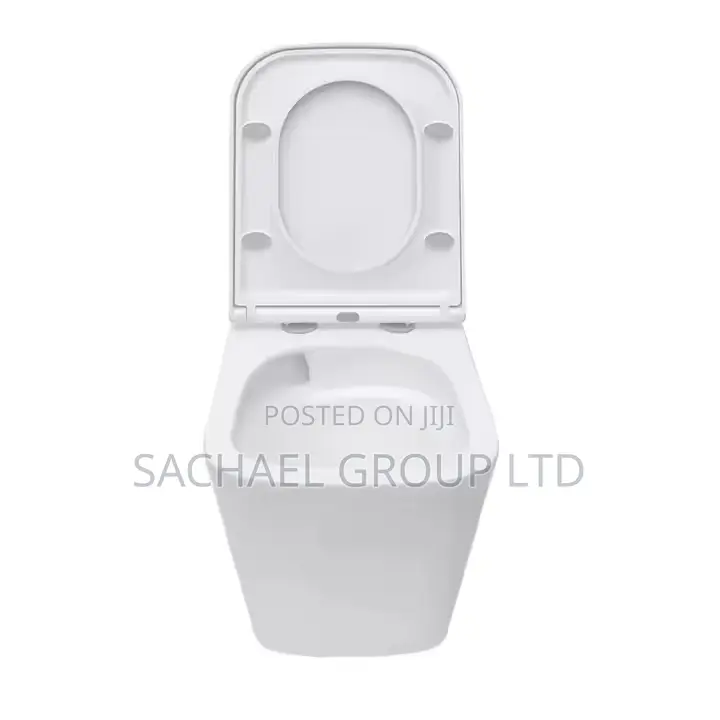 Modern Wc for Classic Home