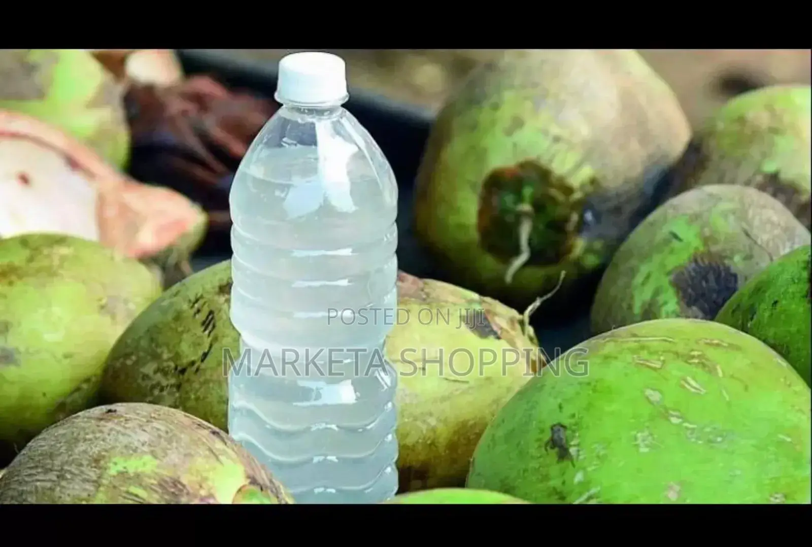 Bottled Coconut Water 1.5l