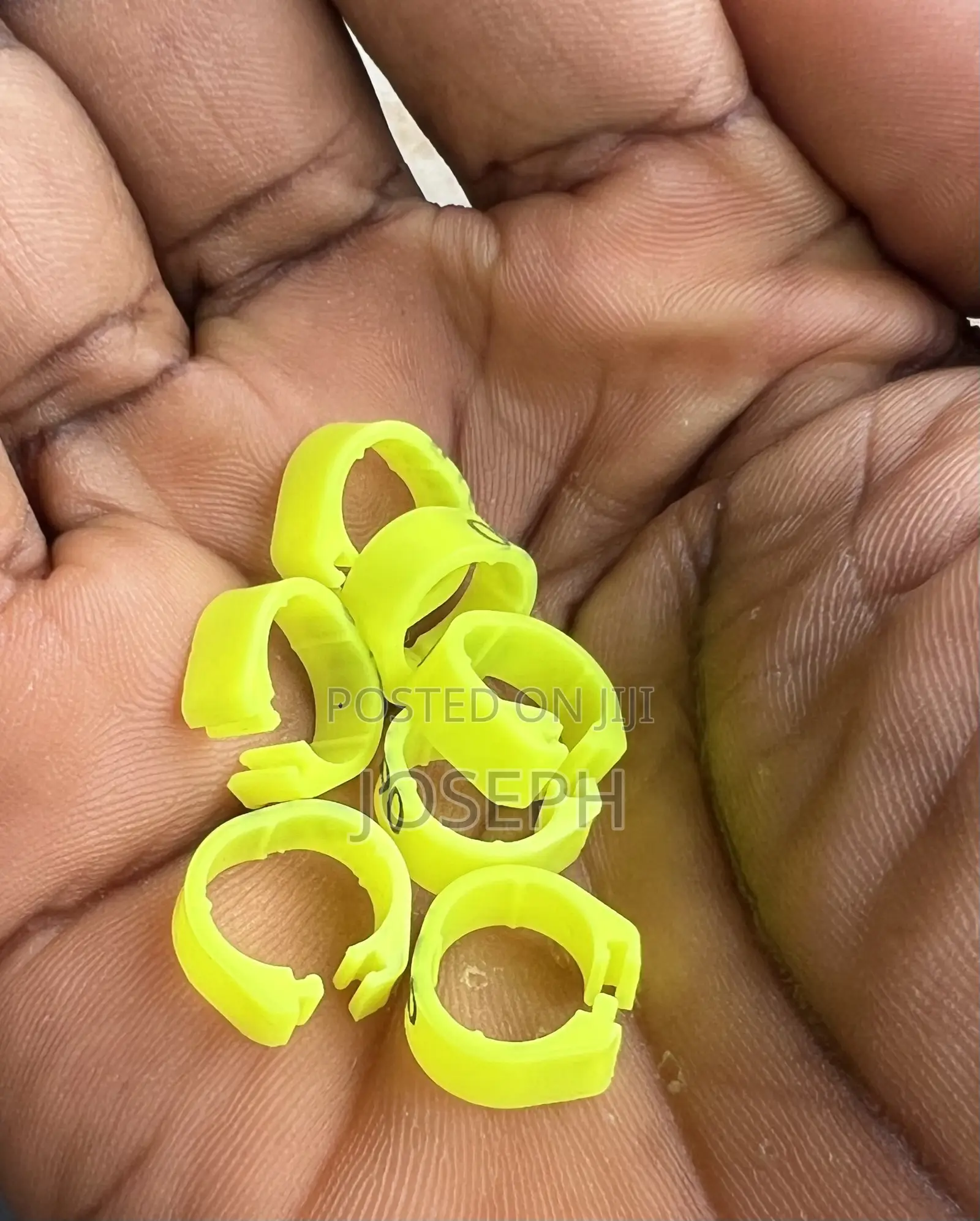 Ring for Birds