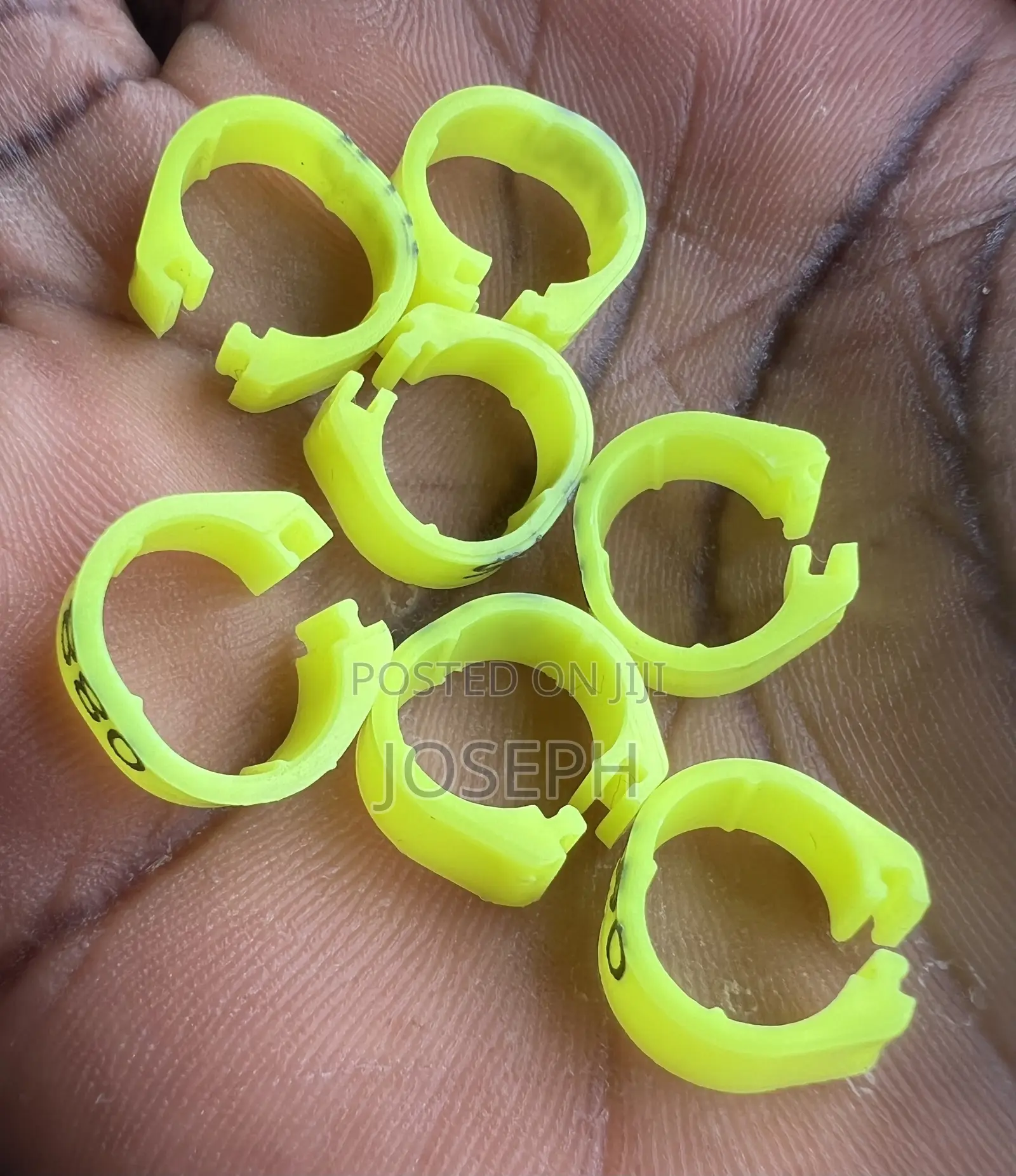 Ring for Birds