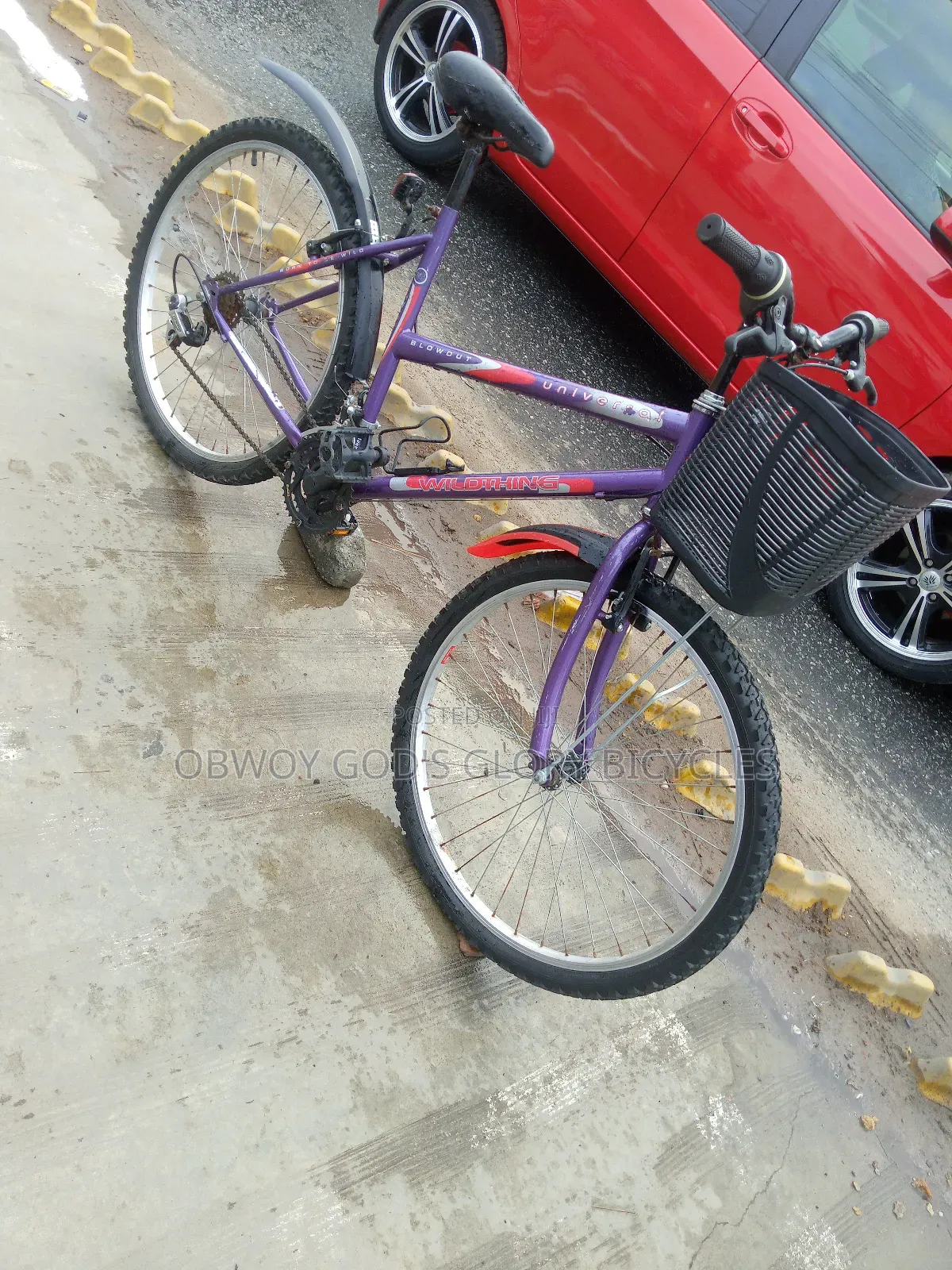 For Ladies Bike