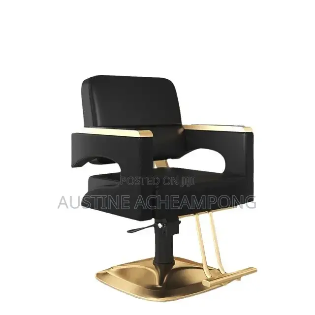High End Saloon Chair