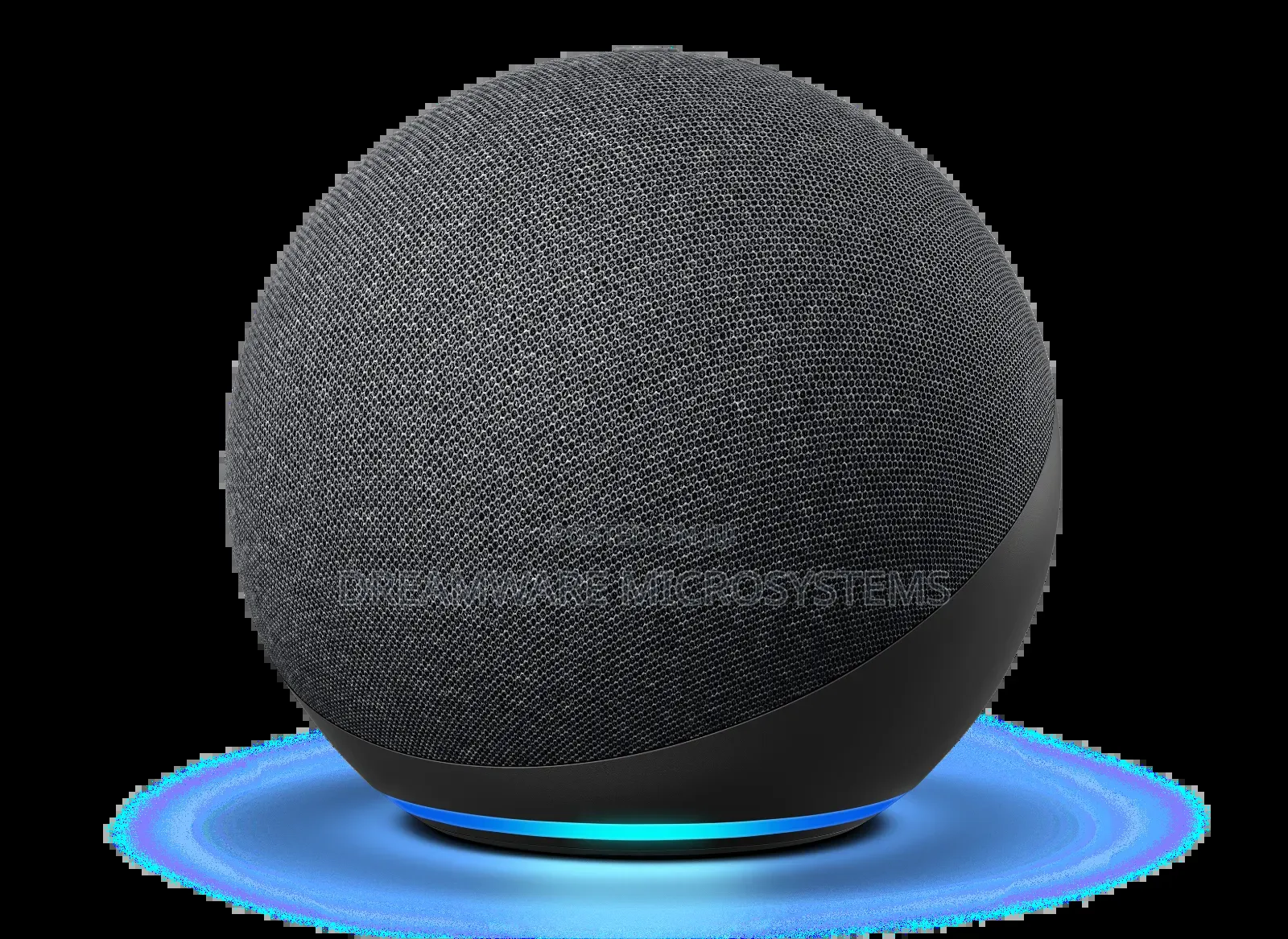 Echo Alexa Enabled Bt Wireless Speaker (Large)