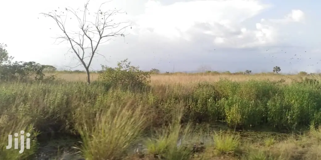 10.000 Acres of Land for Lease