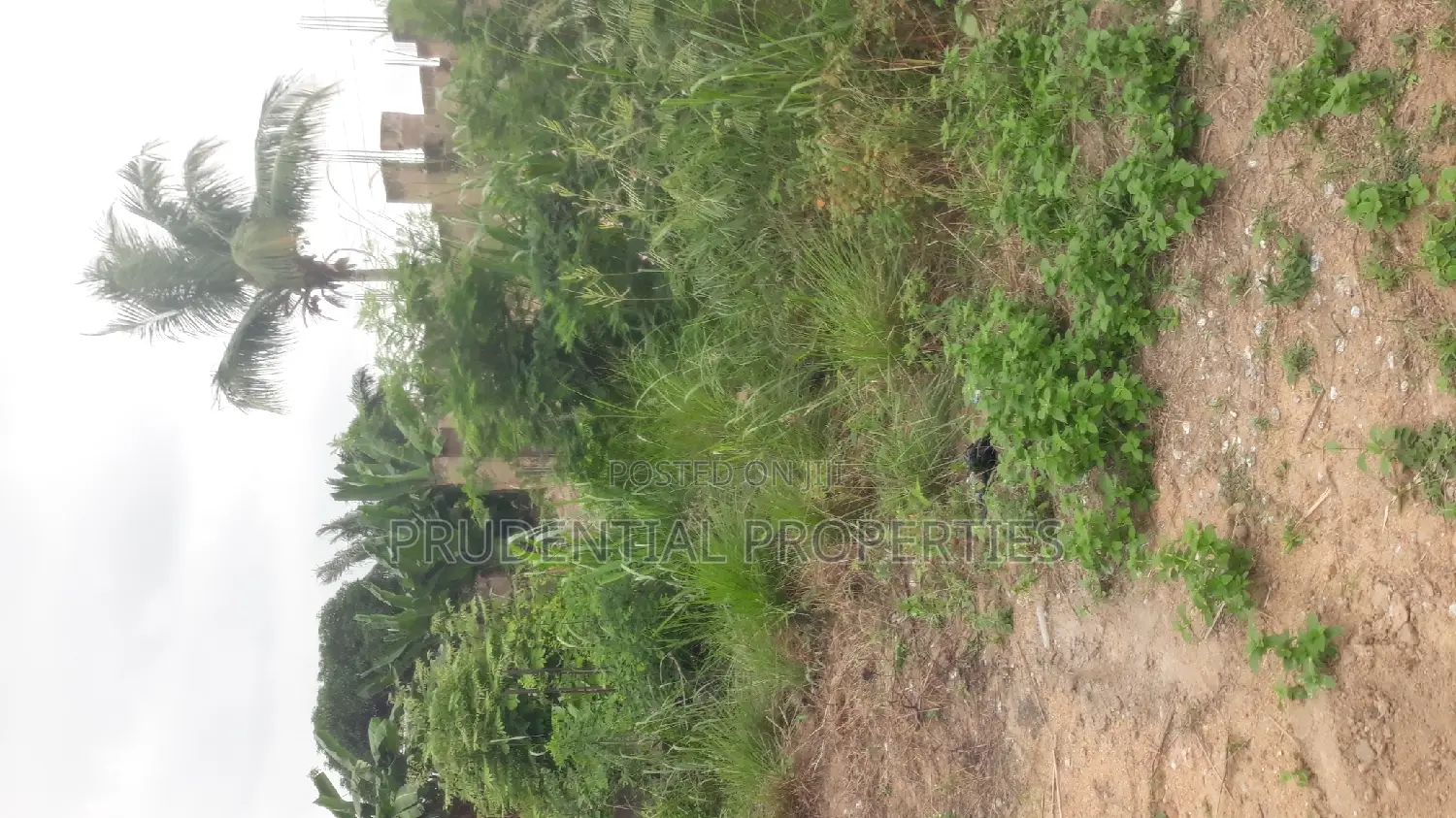 2 Plots of Land for Sale at Manhean Tigo Pole