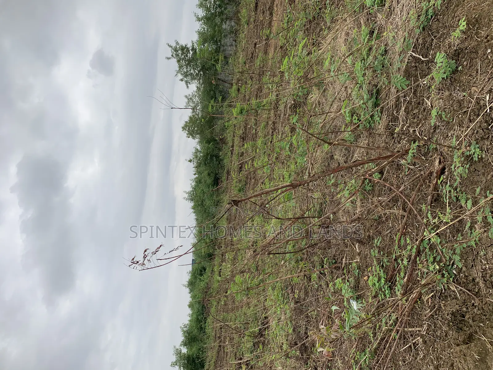 Plot for at Jubile Gate In, Size 70/100