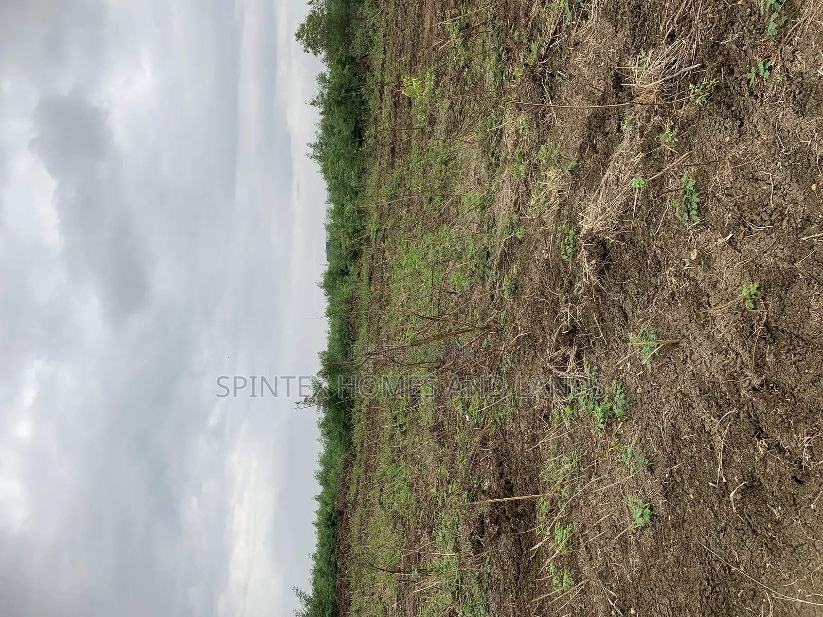 Plot for at Jubile Gate In, Size 70/100