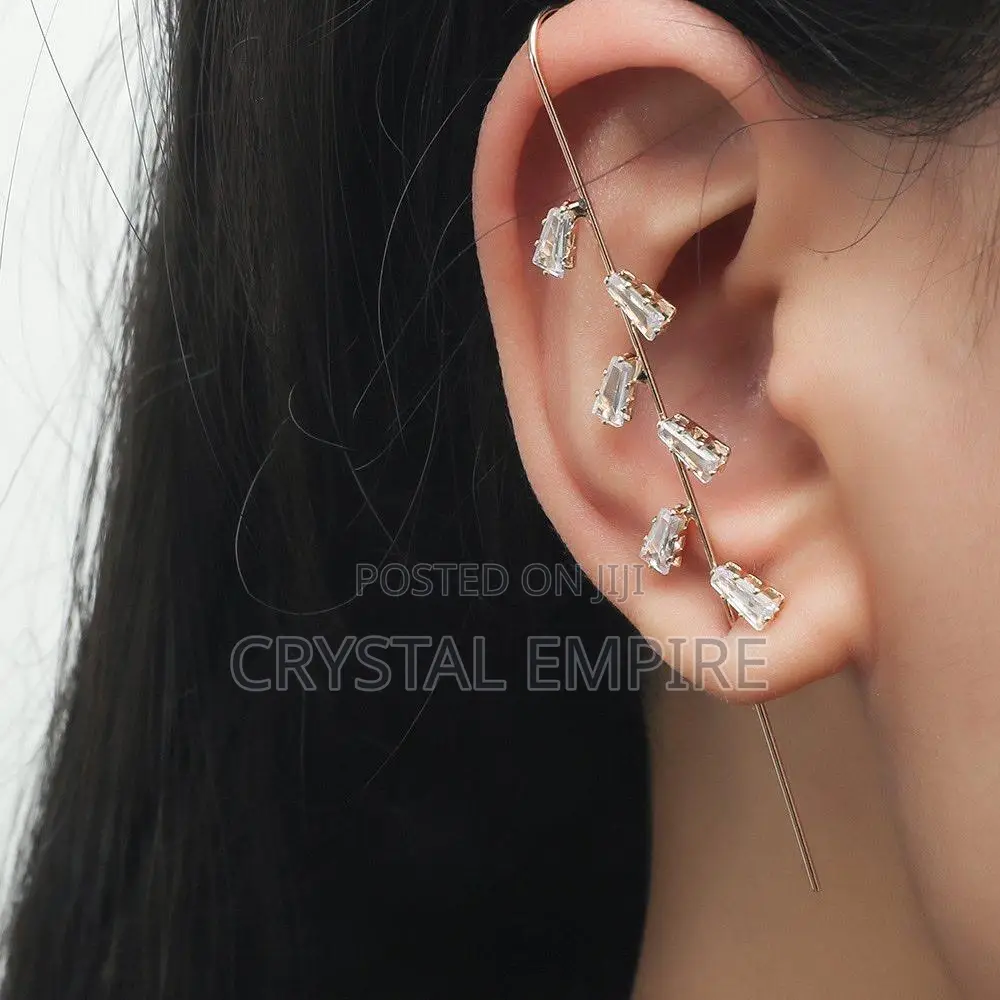 Ear Climbers Earrings