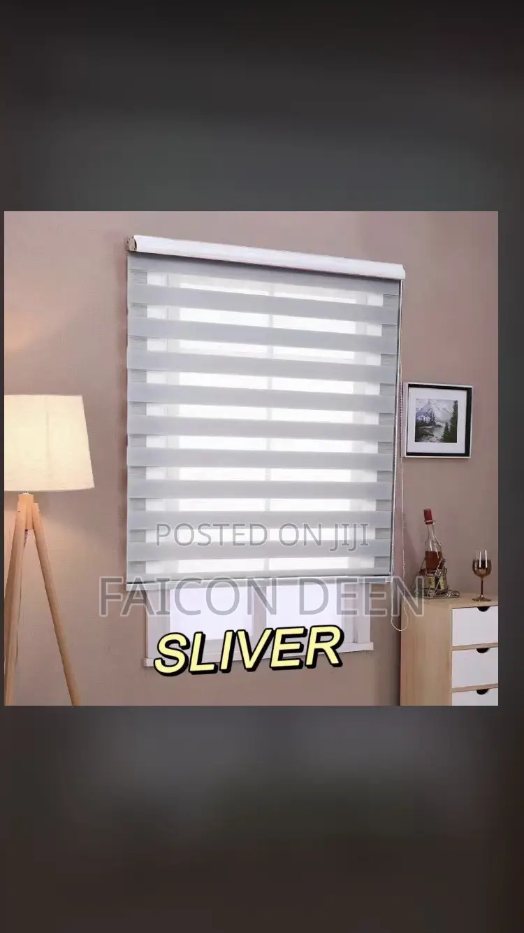 Modern Super High Quality Roller Window Blinds(In Diff Size