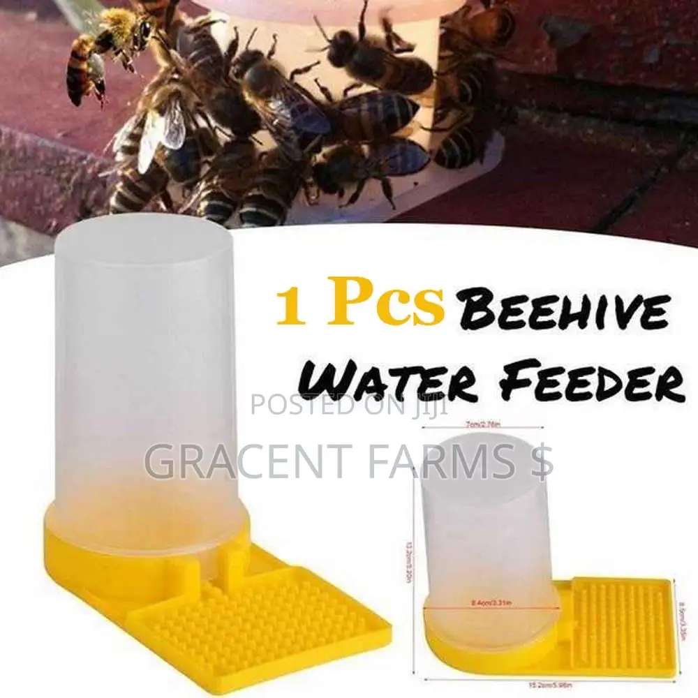 Bees Jar Drinker/Feeder