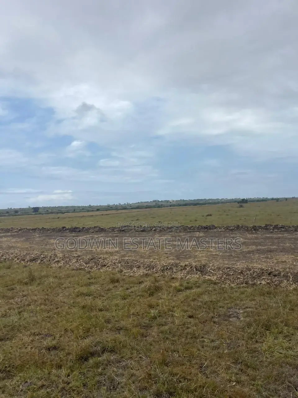 Beautiful and Amazing Flat Surface Land for Sale in Tsopoli
