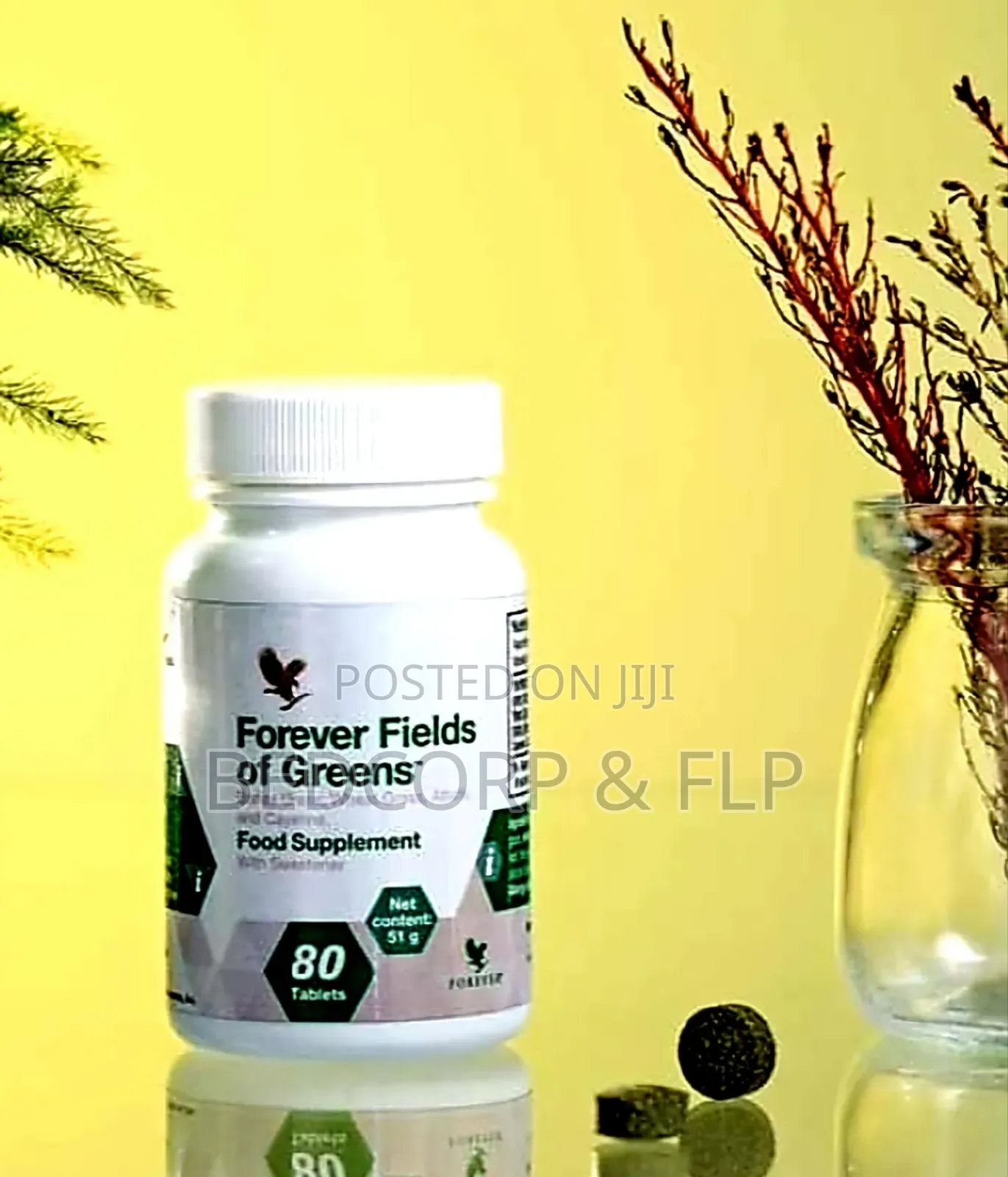 Fields of Green Supplement With Barley and Wheat Grass