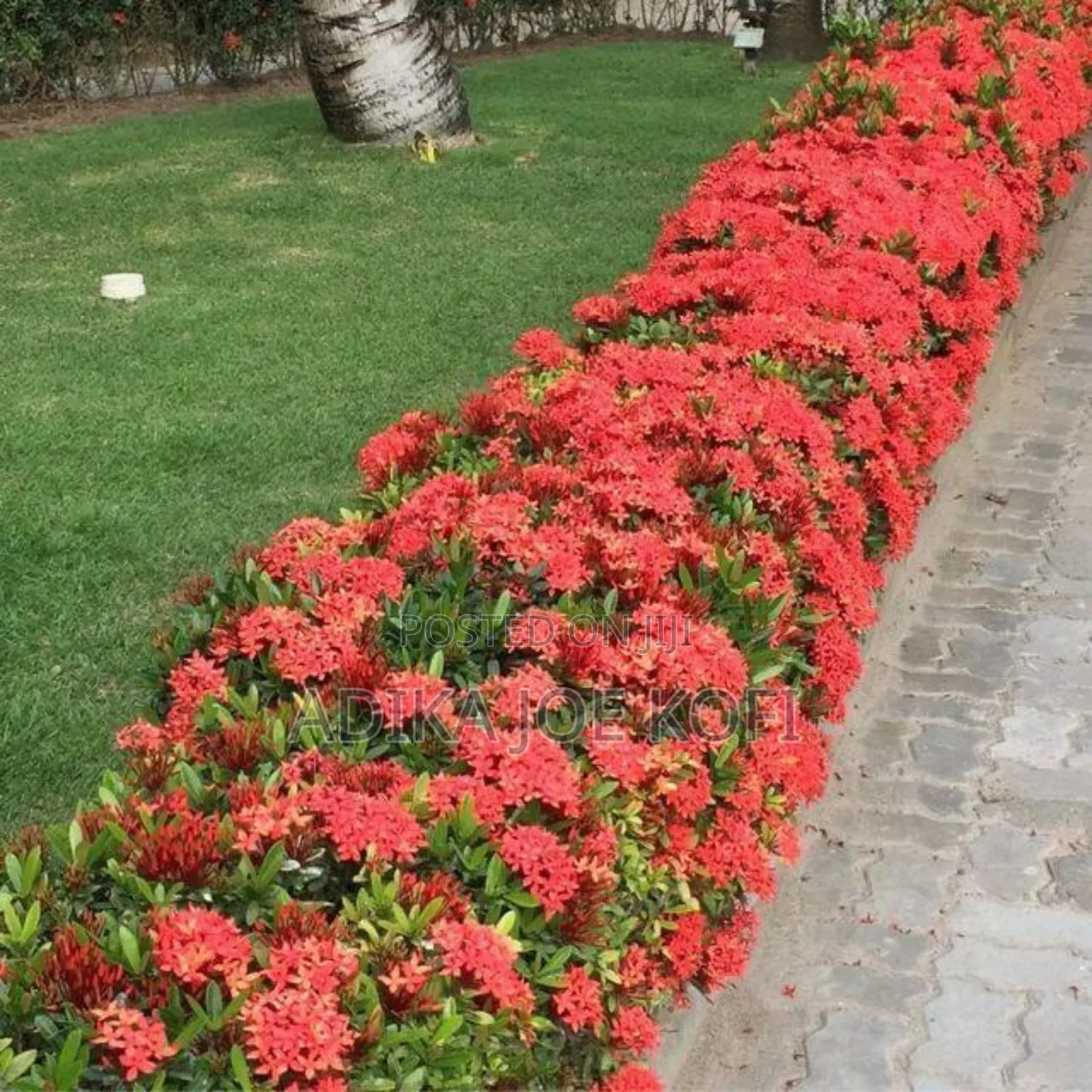 Joefel Landscaping and Gardening Decor
