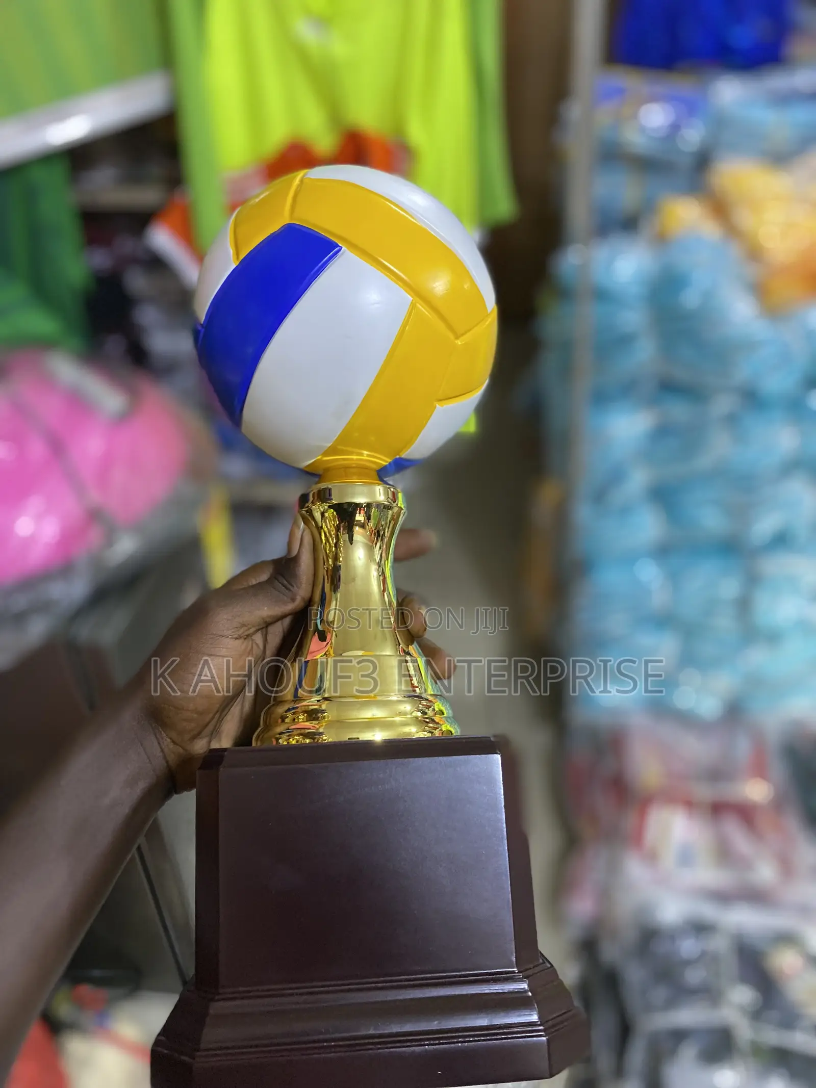 Volleyball Trophy