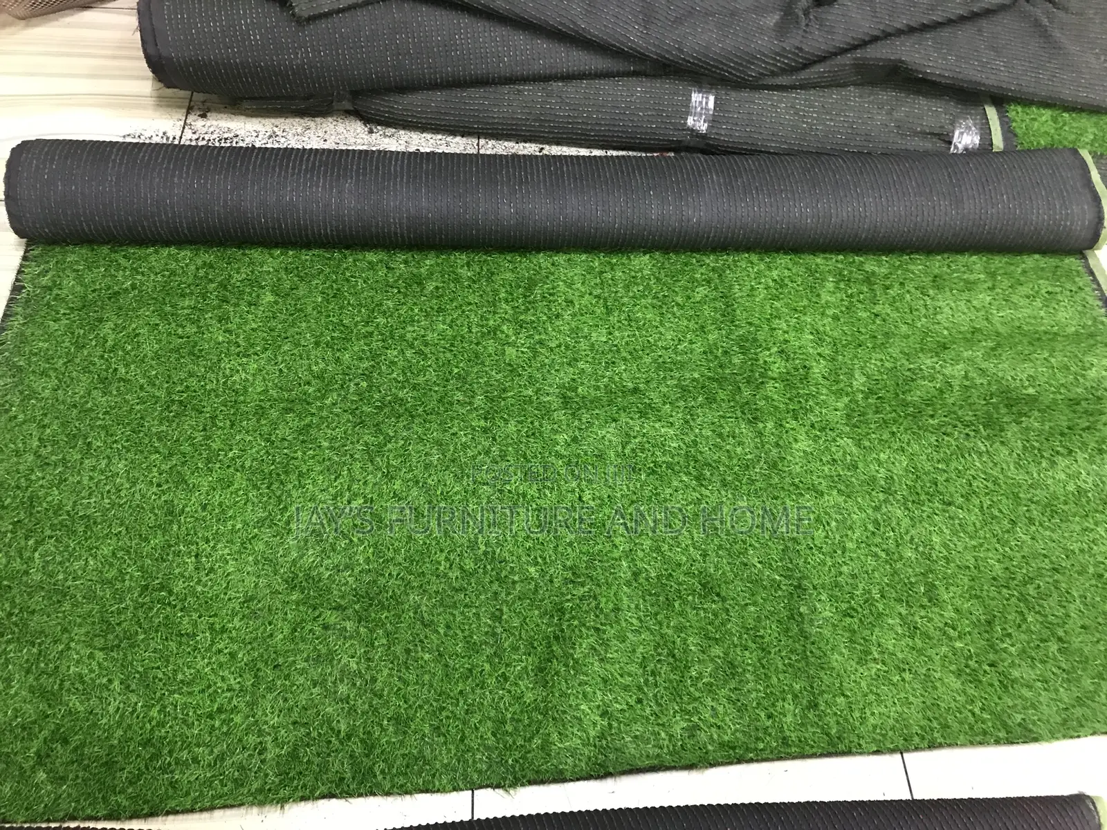 Carpet Grass