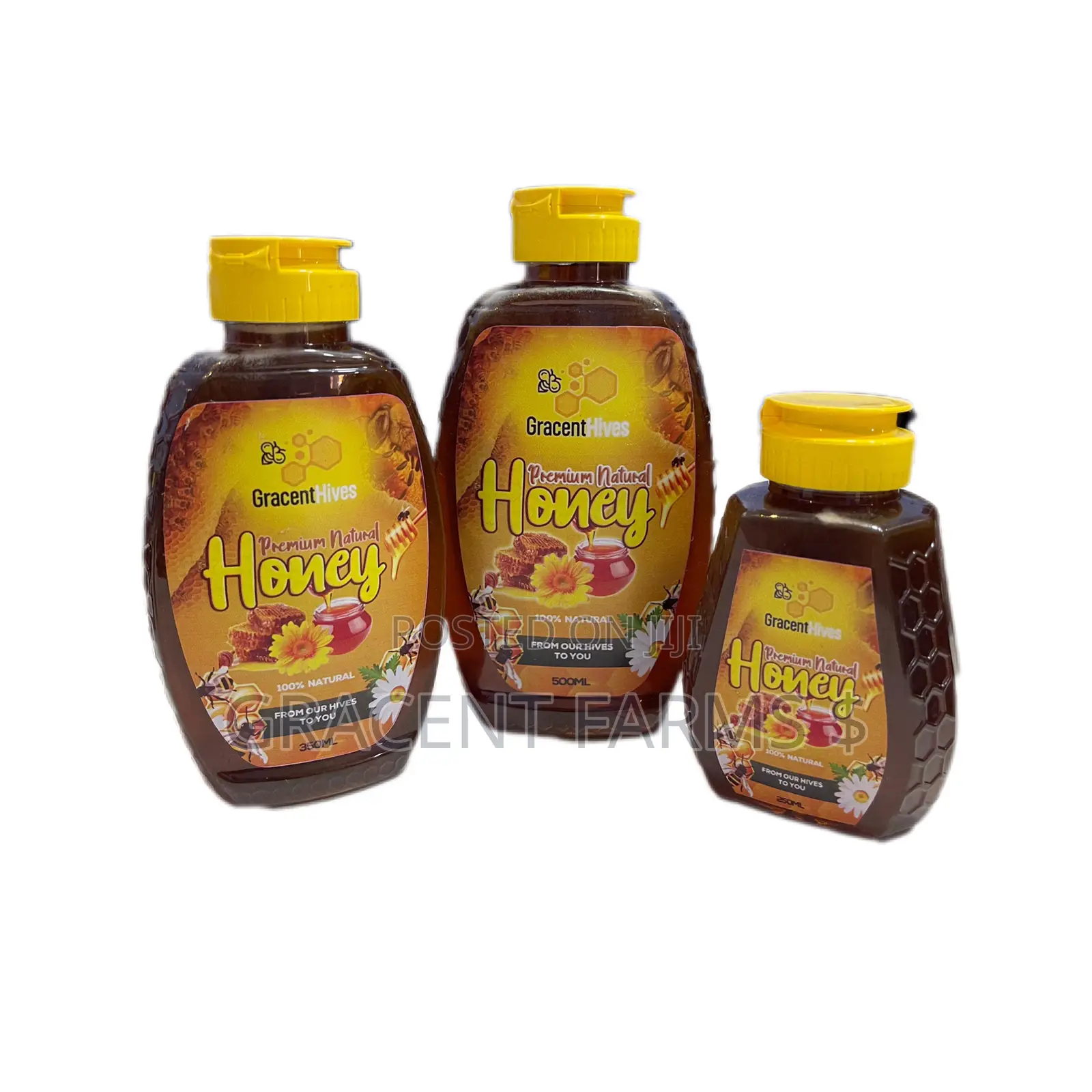500ml Gracent Hives Premium Natural Honey