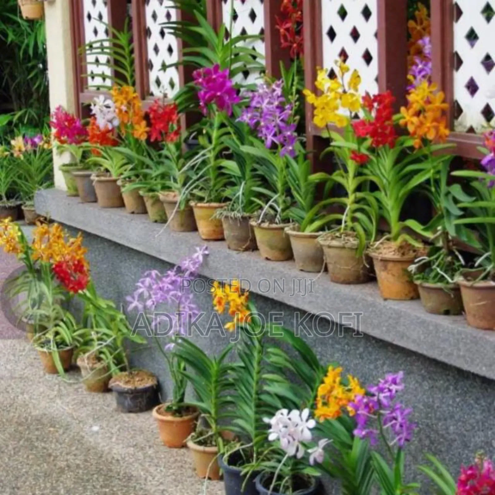 Landscaping by Joefel Construction Decor
