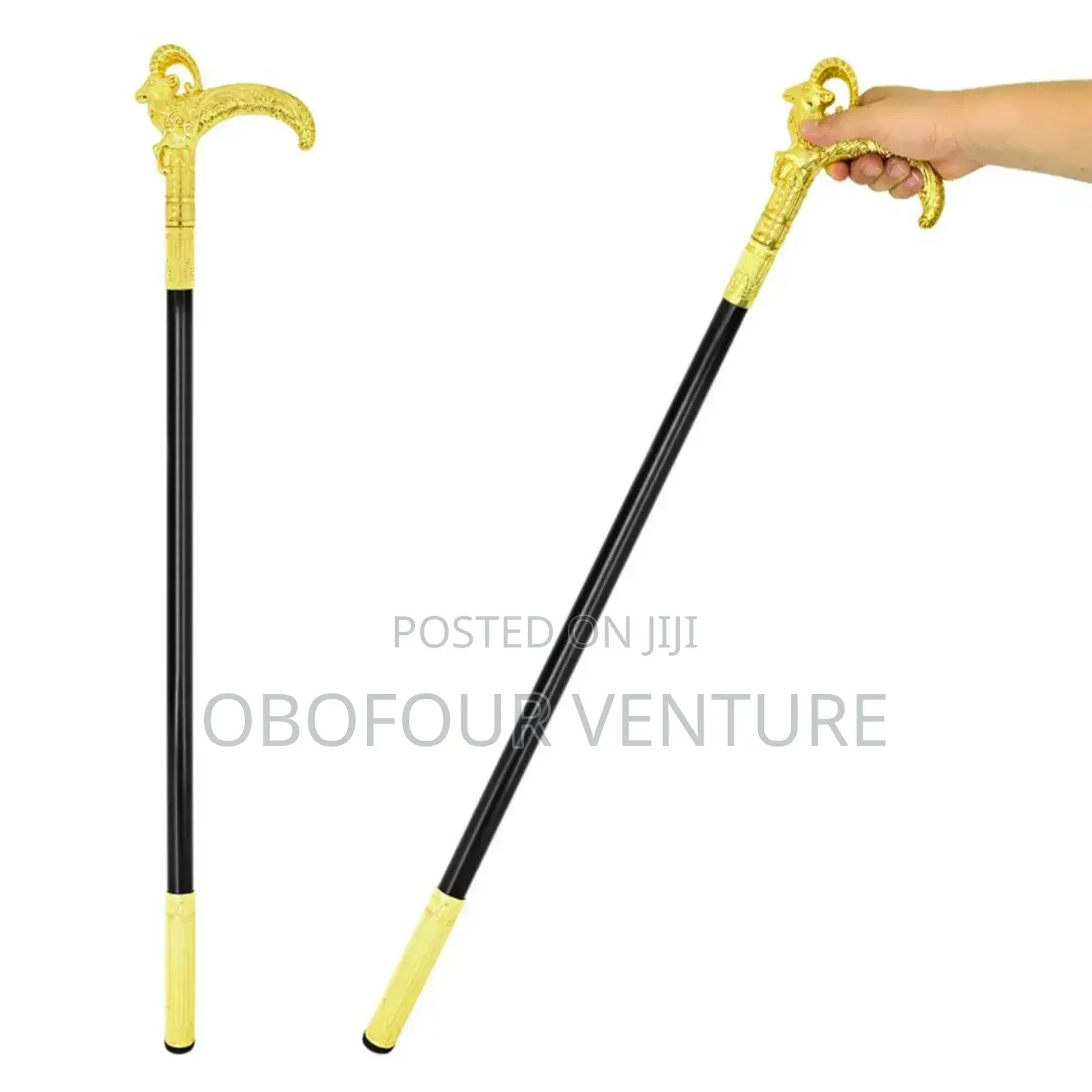Stylish Fashion Traditional Walking Stick