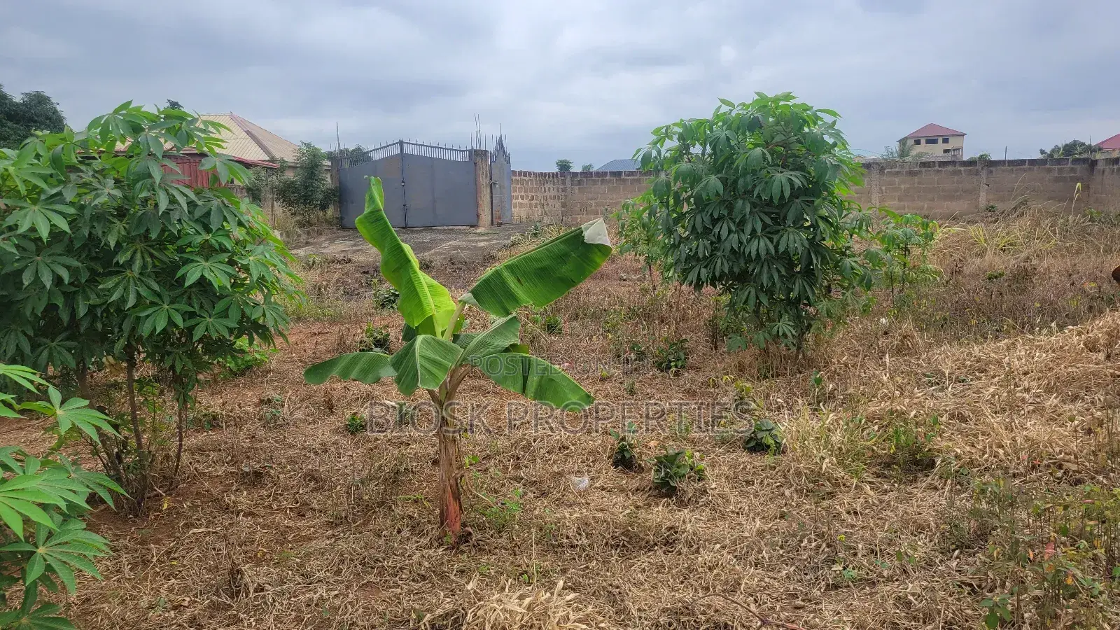 Titled Land for Sale