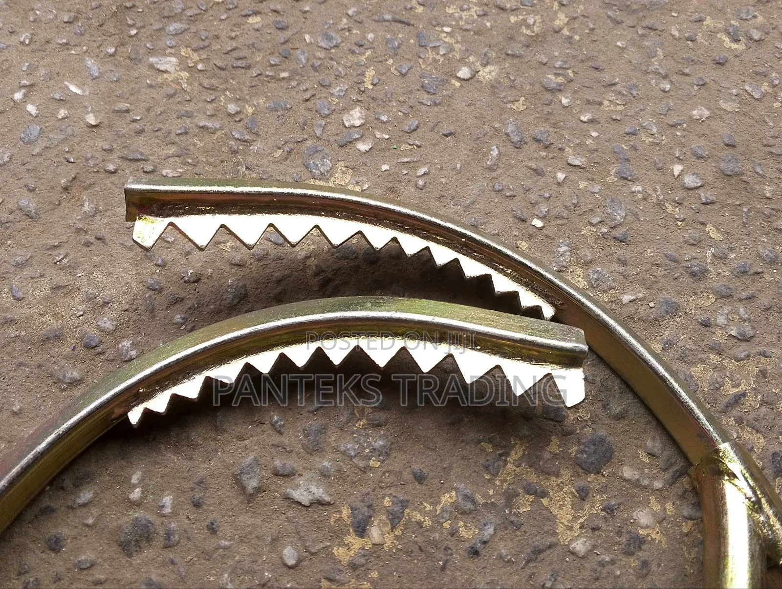 Climbing Shoe